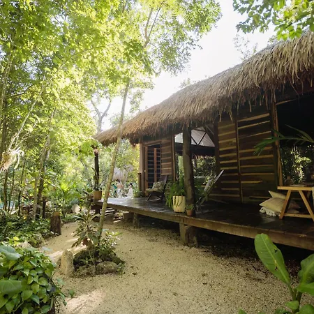 Affittacamere Madre Tierra Eco Habitat